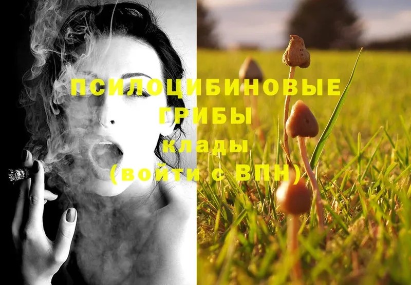 купить наркоту  Белинский  mega ссылки  Псилоцибиновые грибы MAGIC MUSHROOMS 